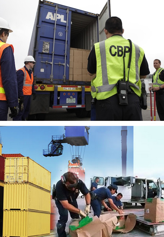 Customs Clearance Service